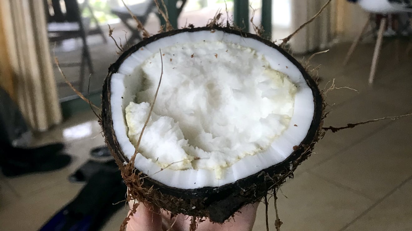 Coconut sponge