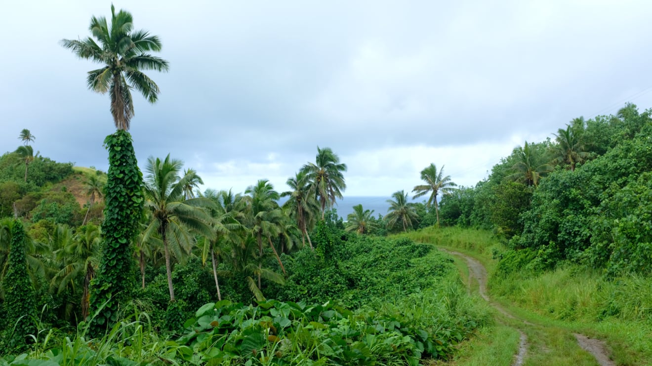 Aitutaki vista