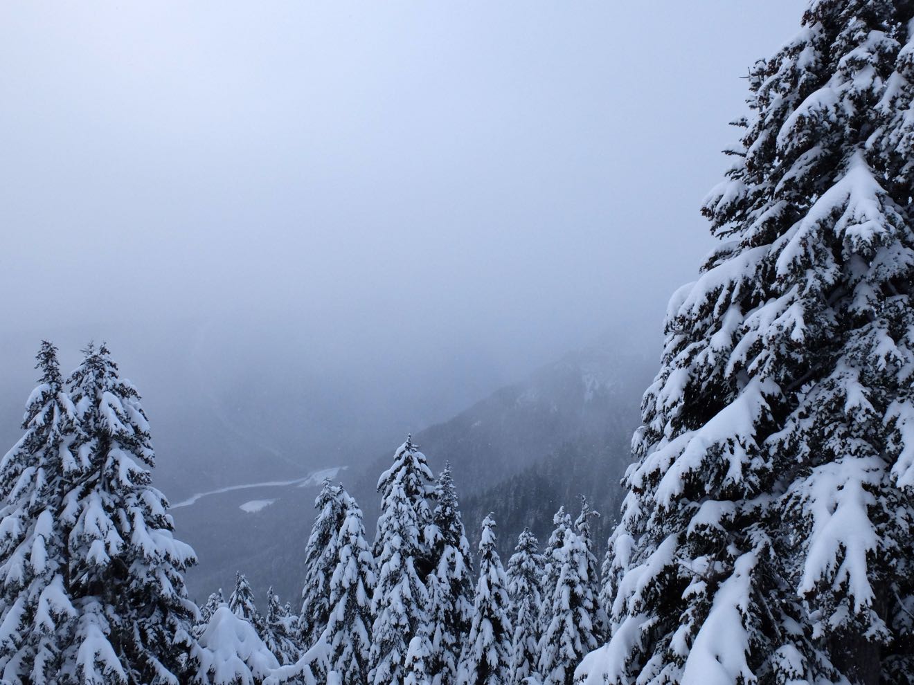 View of Capilano Lake