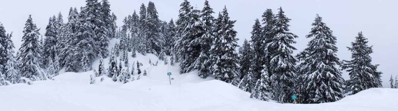 Snowshow trail panorama