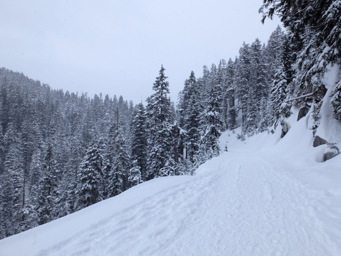 Snowshoe trail